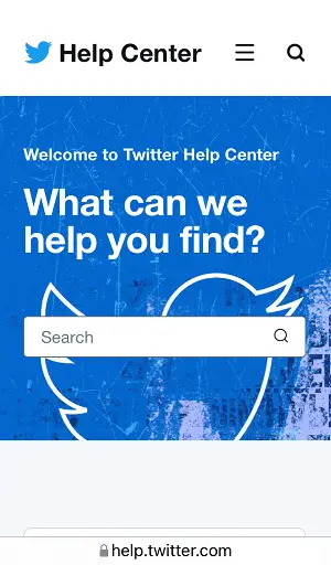 How to Reset Twitter Password Without Email or Phone Number