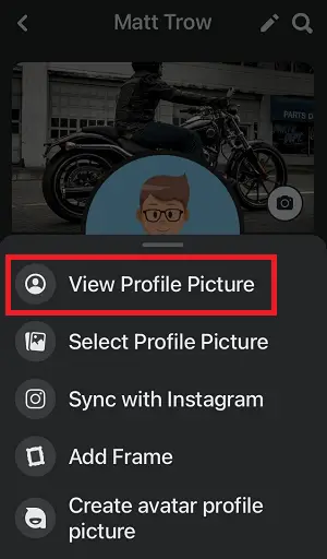 Select "View Profile Picture"