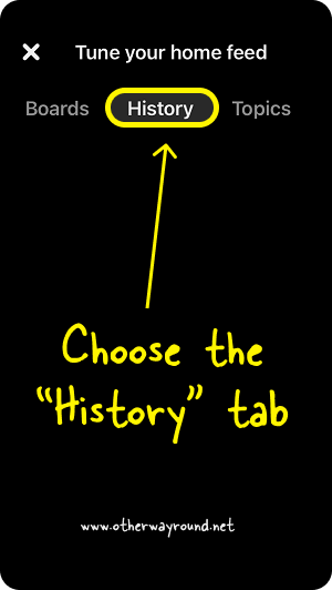 Choose the "History" tab. How To View Pinterest History (Mobile App)