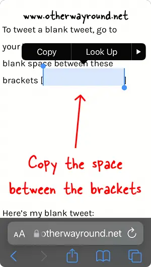 Copy the space between the brackets. How To Tweet A Blank Tweet Step-1