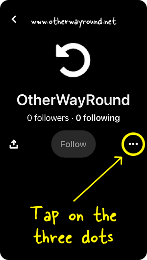 Tap on the three dots. How To Unblock Someone On Pinterest (Mobile App) Step-2