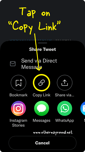Tap on "Copy Link". How To Get My Twitter Profile Link Step-3