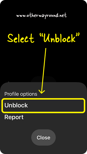 Select "Unblock". How To Unblock Someone On Pinterest (Mobile App) Step-3