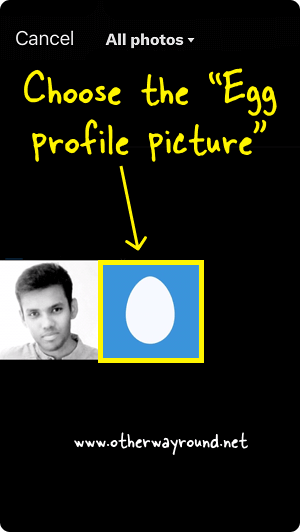 Choose the "Egg profile picture". How To Delete Twitter Profile Picture Step-6