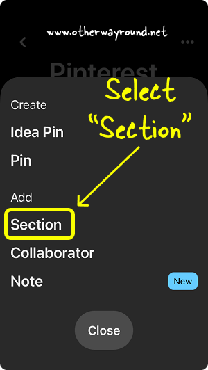 Select “Section”. How To Make A Section Into A Board On Pinterest App-3