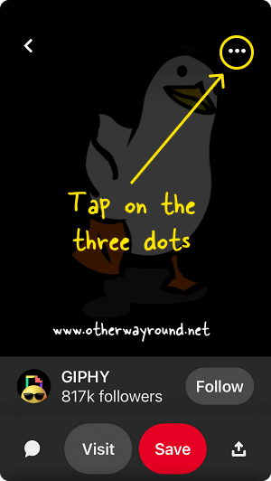 How To Save GIF From Pinterest App-2