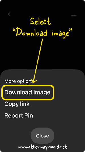 How To Save GIF From Pinterest App-3