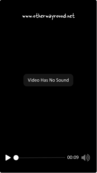 Video has no sound Reddit