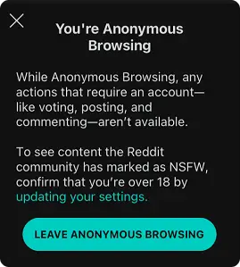 Anonymous Browsing mode on Reddit Step-3