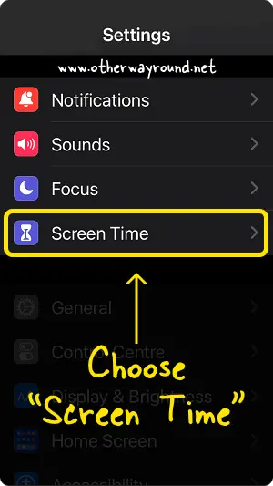 How To Turn Off SafeSearch from iPhone Settings Step-2