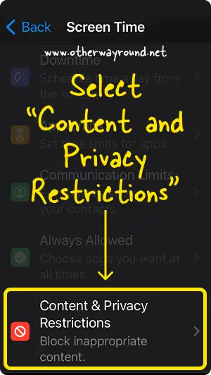 How To Turn Off SafeSearch from iPhone Settings Step-3