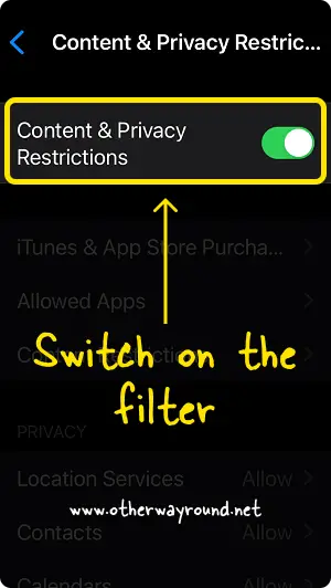How To Turn Off SafeSearch from iPhone Settings Step-4